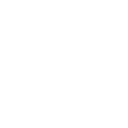 Transparent Turtle